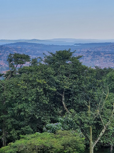 Ein Blick über die Hügel von Kampala bis hin zum Victoriasee. © KK